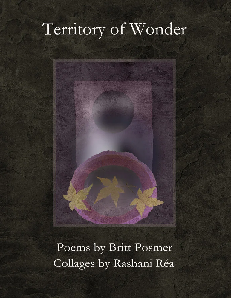 Cover of Territory of Wonder