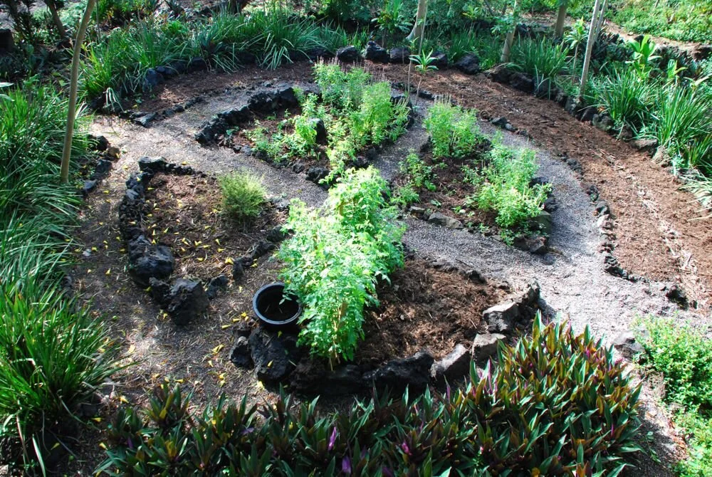 The curved stone-edged gardens at Kipukamaluhia Sanctuary